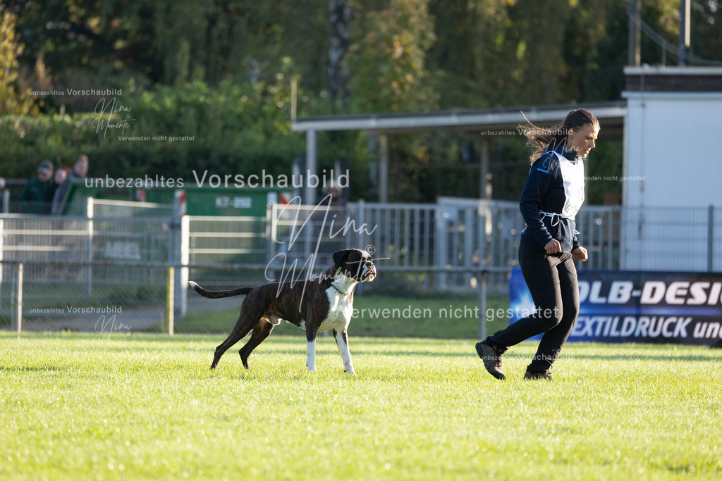 _16A6077 | Einzigartige Fotos von Hunden & Menschen –Actionfotos, Portraits, Vereinsaufnahmen & Paarshootings – authentisch, lebendig & mit Herz.