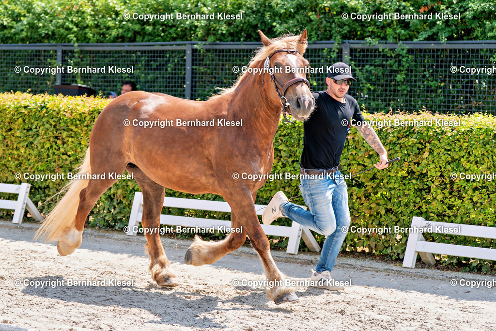2A900848 | foto-team-bernhard - Realisiert mit Pictrs.com
