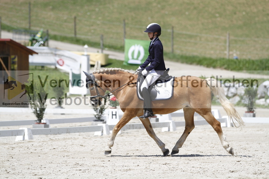 _MG_5189 | equestrian-live-com
