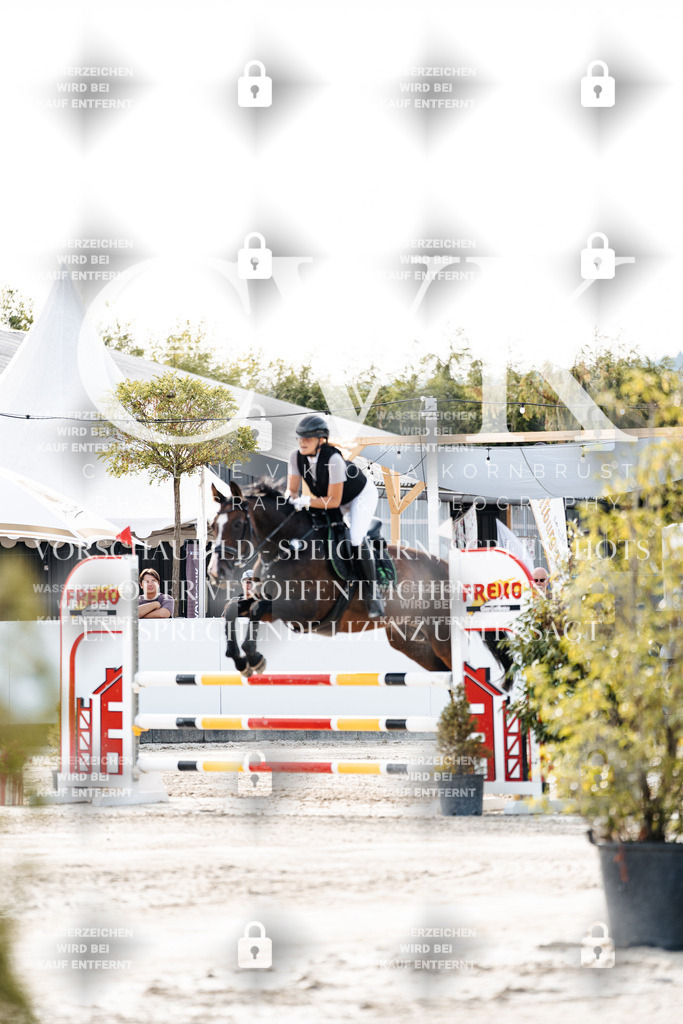 CK906136 | Turnierfotografie Pferdefotografie Trier Rheinland-Pfalz Pferdesport Reitsport Tierfotografie Sportfotografie Pferdevideo Pferdevideografie Equestrianvideography equestrianphotography  - Realisiert mit Pictrs.com