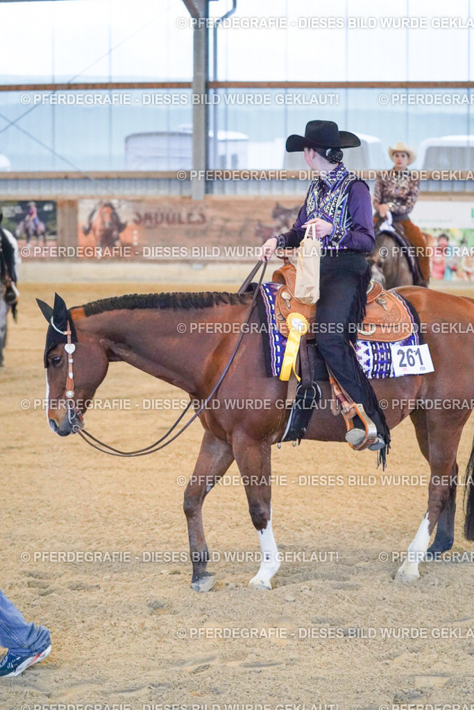 DSC08885 | Pferdegrafie