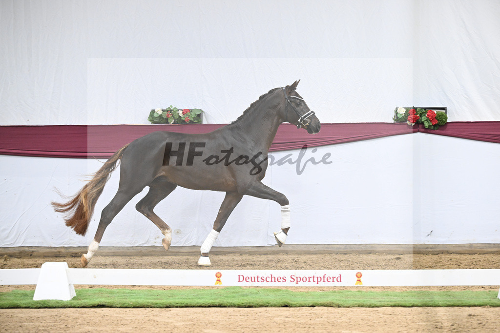 Kat-Nr. 126 Va Bene x Fuerst Jazz_Johannes Gaab_47254189 | hf-fotografie - Realisiert mit Pictrs.com