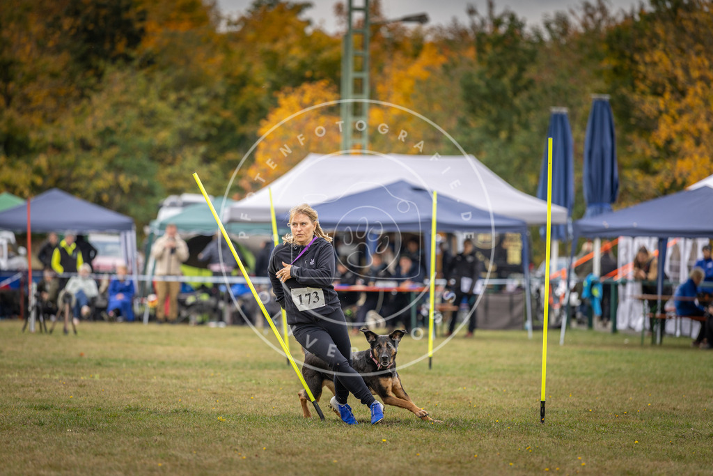 Pfotenfotografie_DV3A5714 | Hundefotografie, Tierfotograf, Pfotenfotografie, Fotoshooting Hund, Hunde Portrait, Hundesport, Hundeportraits, Heideshooting, Hunde, Sportfotograf, Hundefotograf, Turnierhundsport, THS,  - Realisiert mit Pictrs.com