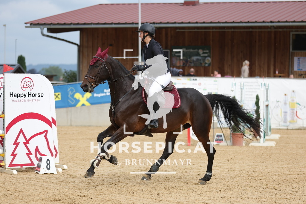 0P6A6644 | Willkommen bei Brunnmayr - Design & Fotografie – Ihrem Spezialisten für Reitturniere und Pferdeveranstaltungen in Oberösterreich, Salzburg und Bayern! Seit über 17 Jahren sind wir leidenschaftlich dabei.