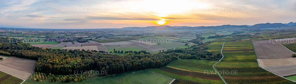 Luftbild: Panorama Herbstluftbild Bewaldetes Horbachtal zwischen herbstlich bunten Feldern vor dem Haardtrand bei Sonnenuntergang in Billigheim-Ingenheim in Niederhorbach im Bundesland Rheinland-Pfalz in Deutschland. Foto: IMG_123500-Pano.jpg vom 19.10.2020 durch Werner Riehm/FLY-FOTO.deAuflösung des Originals: 9499 x 2714 px