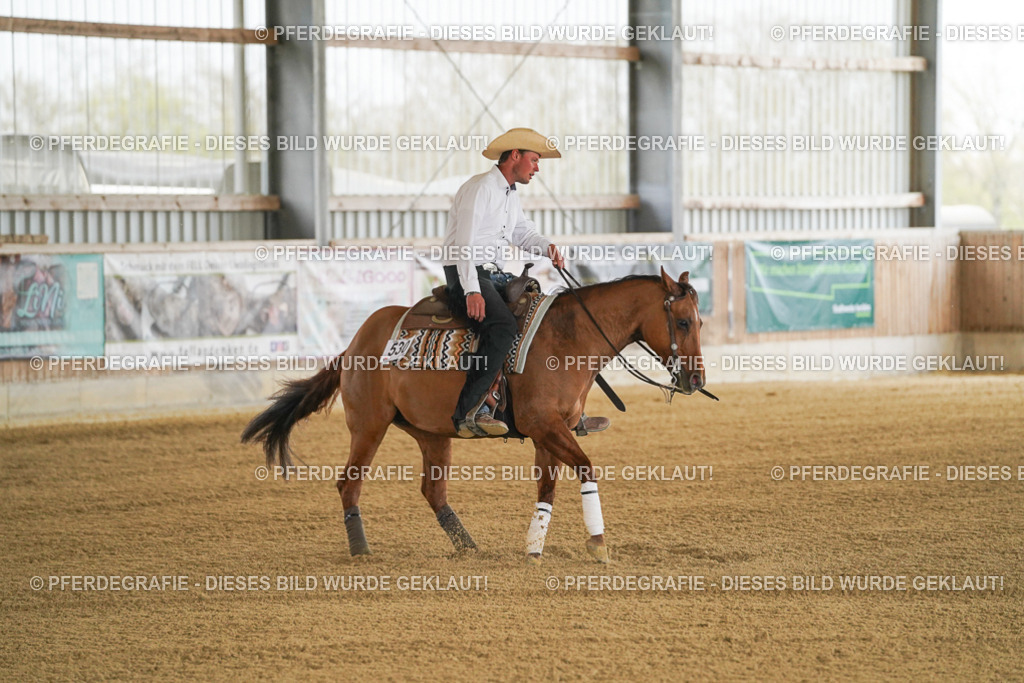 DSC06793 | Pferdegrafie