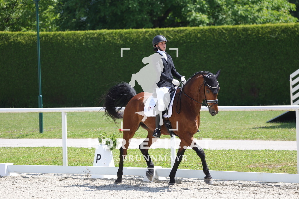 0P6A5858 | Willkommen bei Brunnmayr - Design & Fotografie – Ihrem Spezialisten für Reitturniere und Pferdeveranstaltungen in Oberösterreich, Salzburg und Bayern! Seit über 17 Jahren sind wir leidenschaftlich dabei.