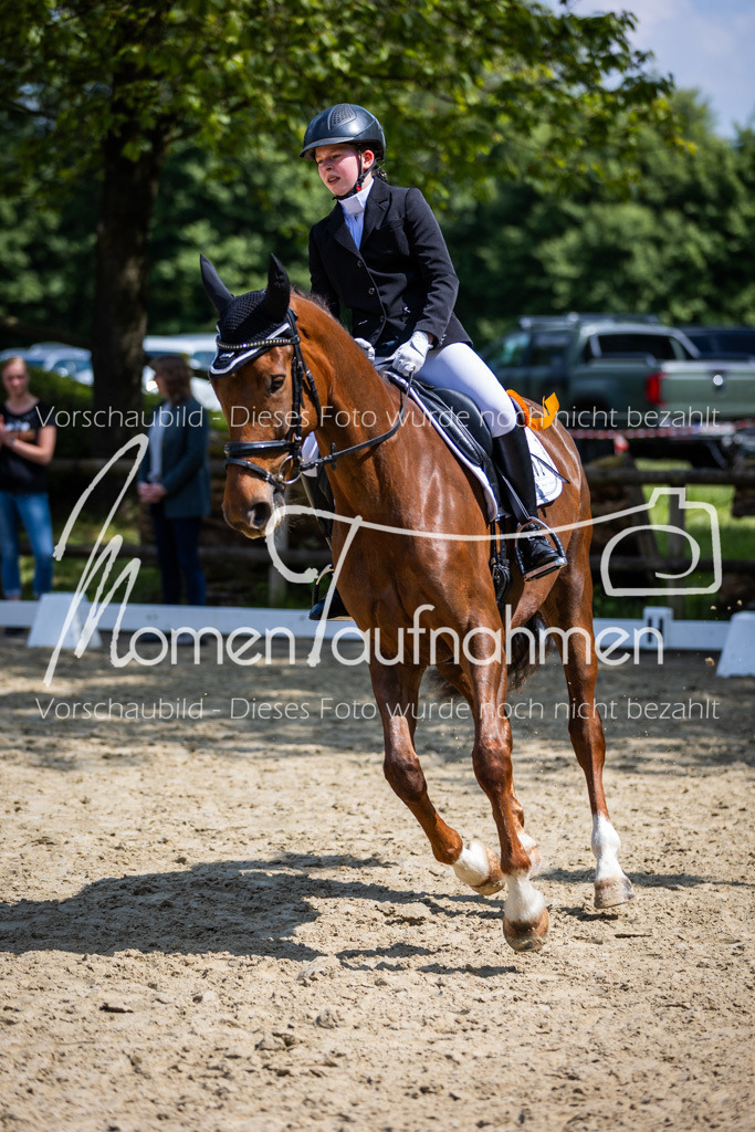 Donop24-EDre-067 | MomenTaufnahmen Pferdesportfotos