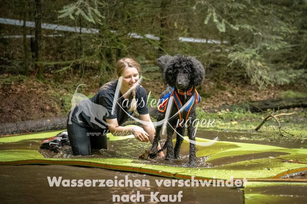 1431_ZZ92671-Bearbeitet | kk-dogfotos
