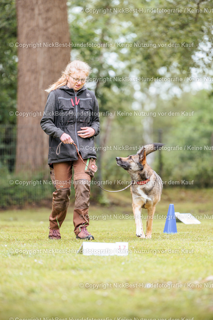 RO-Blumenthal-2026-Nickbest-Hundefotografie-4986 | Dein Hund! Dein Moment! Deine Erinnerungen! Hundefotografie in Bremen Blumenthal. Ich fange die besonderen Momente deines Vierbeiners ein – ob Indoor mit Blitzanlage oder in der freien Natur. Sicher dir dein Moment und dein Termin für eure Erinnerungen.