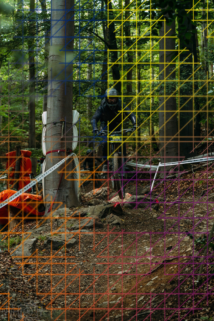 PAE-1283 | Einzigartige Fotokunst für dein Zuhause: Entdecke hochwertige Wandbilder, edle Prints und emotionale Motive von Wildlife, Natur und Landschaften - Realisiert mit Pictrs.com