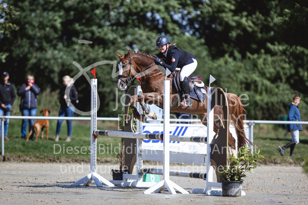 240615_CoesfeldLette_Stil-A-250 | Deine schönsten Turniermomente als professionelle Fotos! Entdecke hochwertige Pferdesport-Fotografie im Online-Shop. Jetzt Fotos finden & bestellen!