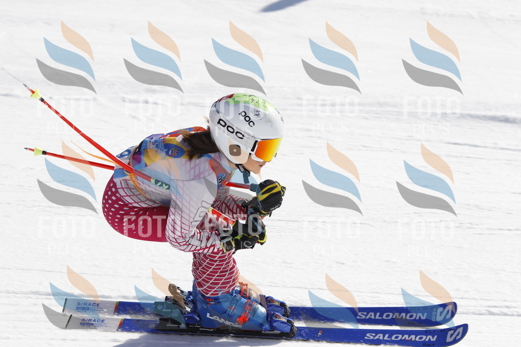 _U3G8844 | holidayphoto