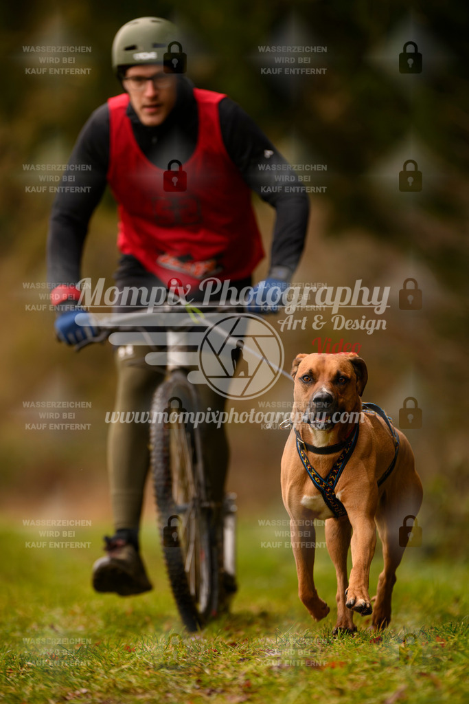 MompixPhotography_2SSTSSBW_2025_SO_Scooter-55 | PayLife
