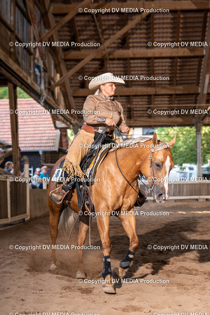 Erbach Tag 1-1123 | dv-media-shop - Realisiert mit Pictrs.com