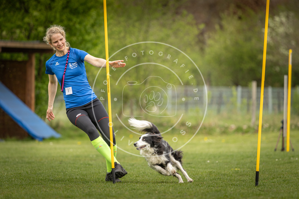 Pfotenfotografie_DV3A7305 | Hundefotografie, Tierfotograf, Pfotenfotografie, Fotoshooting Hund, Hunde Portrait, Hundesport, Hundeportraits, Heideshooting, Hunde, Sportfotograf, Hundefotograf, Turnierhundsport, THS,  - Realisiert mit Pictrs.com