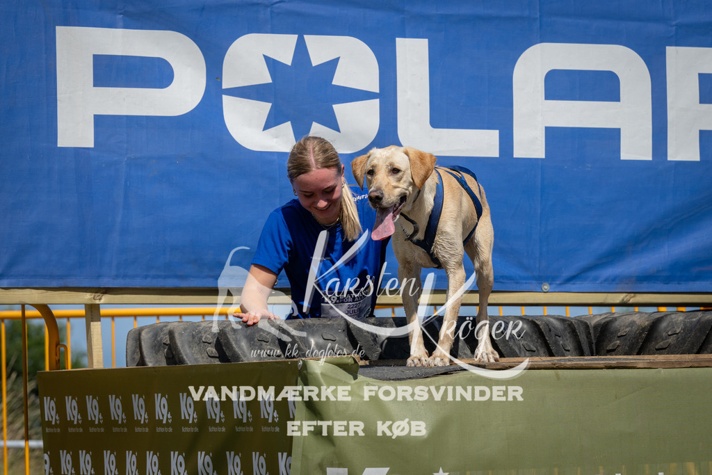 1349_ZZ99417 | kk-dogfotos