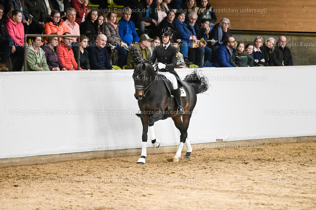 20260307_Hengstvorstellung-Marbach_0201 | equistock