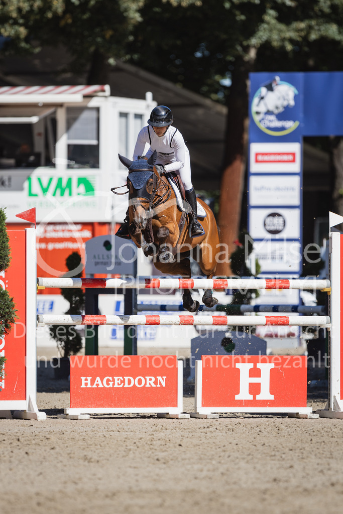 230908_OWLCh_MediumTour-137 | Deine schönsten Turniermomente als professionelle Fotos! Entdecke hochwertige Pferdesport-Fotografie im Online-Shop. Jetzt Fotos finden & bestellen!