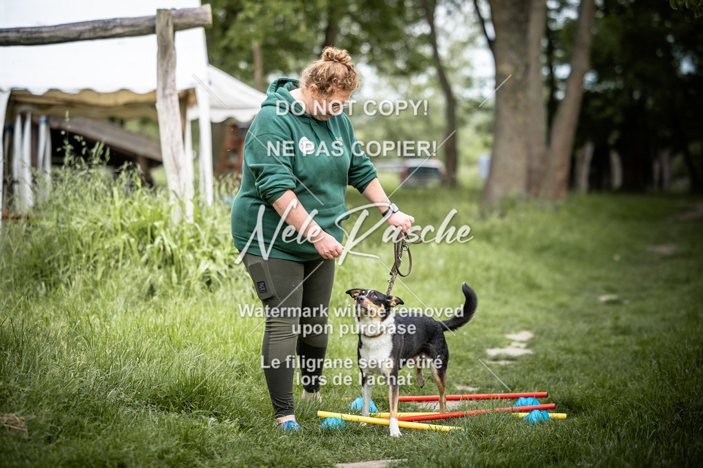 nelerasche_So-earlydog_19 | nelerasche