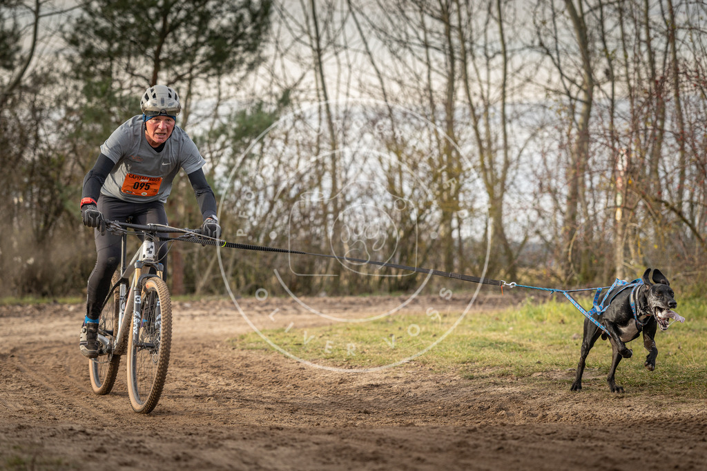 Pfotenfotografie_DV3A7748 | Hundefotografie, Tierfotograf, Pfotenfotografie, Fotoshooting Hund, Hunde Portrait, Hundesport, Hundeportraits, Heideshooting, Hunde, Sportfotograf, Hundefotograf, Turnierhundsport, THS,  - Realisiert mit Pictrs.com