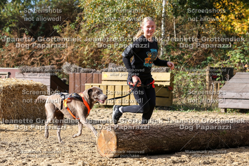 Dog Paparazzi - Strongdog 10-25-5147 | Dog Paparazzi Jeanette Grottendiek Fotografie & Videografie - Realisiert mit Pictrs.com