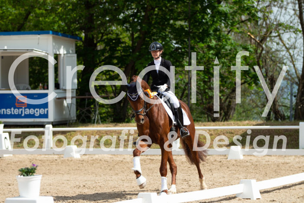 IMG_1927 | Creatify Fotografie