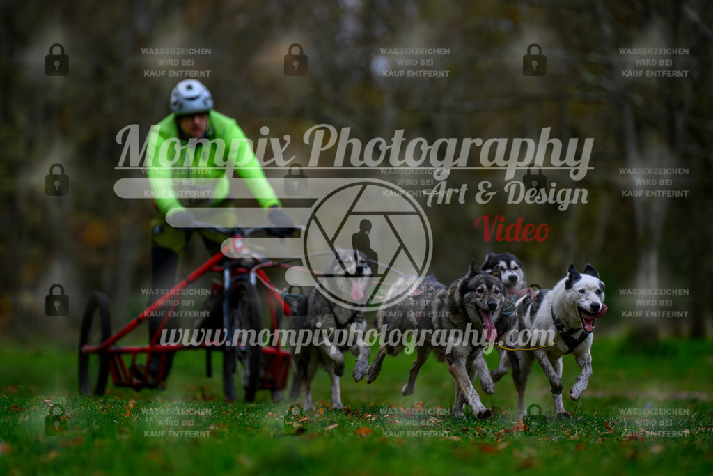 MompixPhotography_Bischwiller24_SA_Kart-12 | PayLife