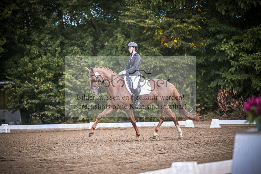 DOS_0213 | Entdecke hochwertige Reitturnierfotos von Foto Oger. Professionell, emotional und authentisch – jetzt Lieblingsmomente im Shop bestellen.Deutschlandweite Turnierfotografie. - Realisiert mit Pictrs.com