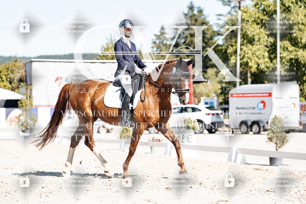 CK908460 | Turnierfotografie Pferdefotografie Trier Rheinland-Pfalz Pferdesport Reitsport Tierfotografie Sportfotografie Pferdevideo Pferdevideografie Equestrianvideography equestrianphotography  - Realisiert mit Pictrs.com