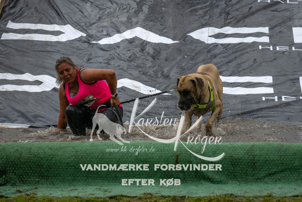 1606_ZZ92319 | kk-dogfotos
