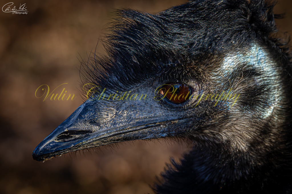 TPH 5 | Christian Vulin  - Realisiert mit Pictrs.com