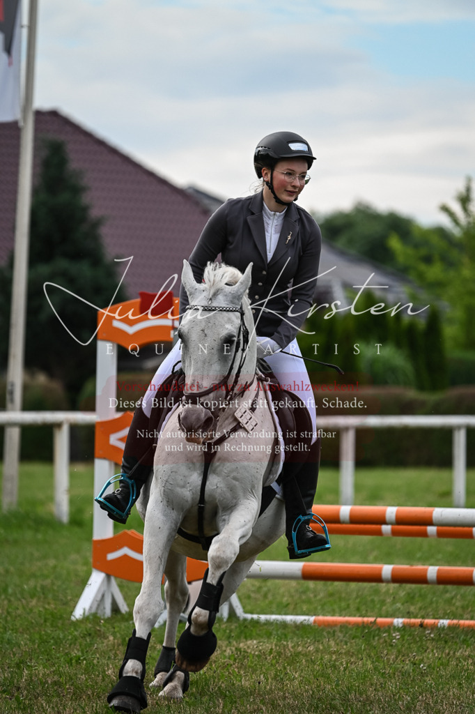 DSC_8632 | Pferde- und Turnierfotografie in Westsachsen. Pferdeportraits, Auftragszeichnungen und intuitive Kunst.
