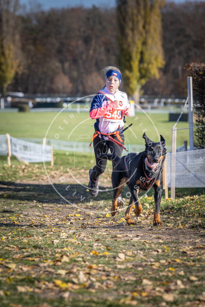 CaniXpix_DV3A8476 | Hundefotografie, Tierfotograf, Pfotenfotografie, Fotoshooting Hund, Hunde Portrait, Hundesport, Hundeportraits, Heideshooting, Hunde, Sportfotograf, Hundefotograf, Turnierhundsport, THS,  - Realisiert mit Pictrs.com