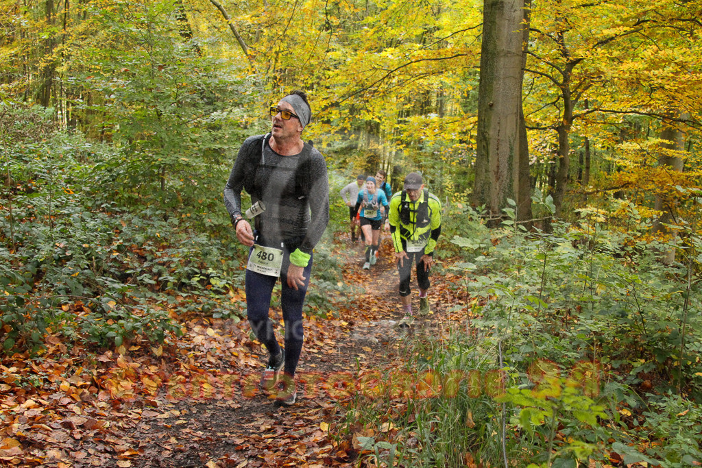 251026_1250_EV4_5922 | Sportfotografie im Rhein-Sieg Kreis, Köln, Bonn, NRW, Rheinland Pfalz, Hessen, etc. Unser Tätigkeitsfeld umfasst den Laufsport vom Volkslauf über den Marathon, Duathlon, Triathon bis zum Ultralauf wie Kölnpfad Ultra oder Schindertrail.