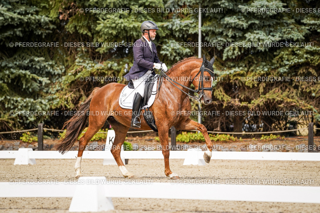 DSC05843 | Pferdegrafie