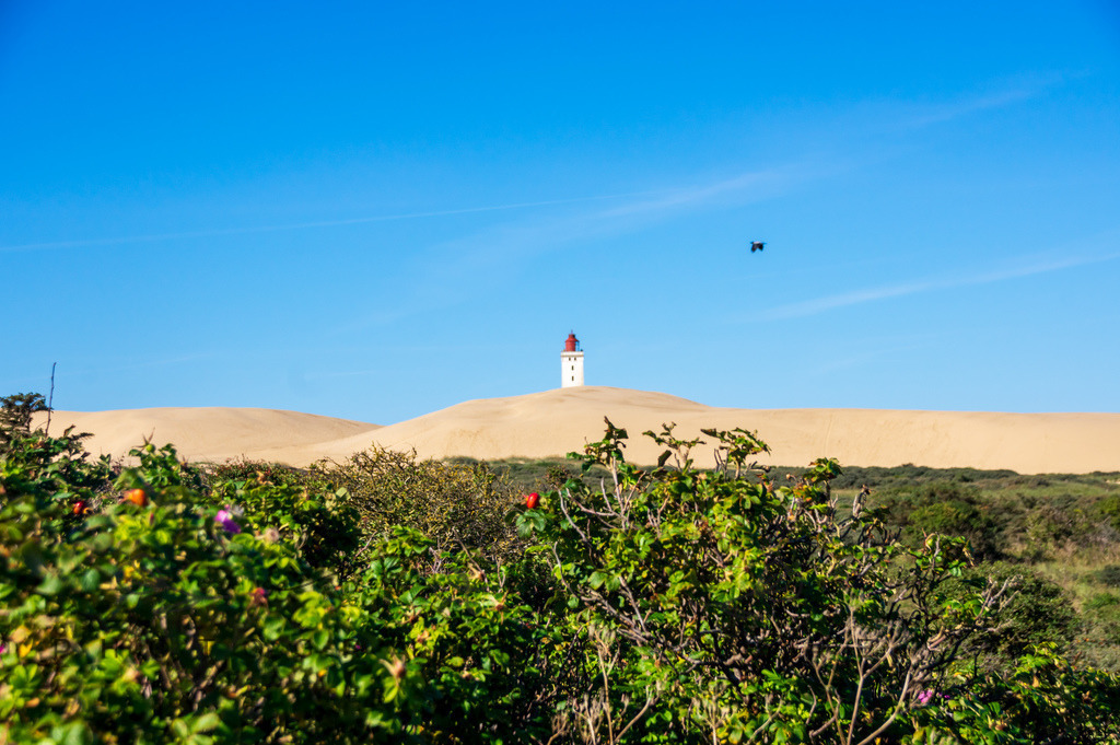 _Lighthouse2022-1133 | Photographies and more - Realisiert mit Pictrs.com