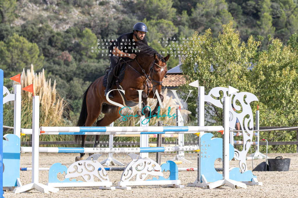 IMG_4239 | s-jay-photography - Realisiert mit Pictrs.com