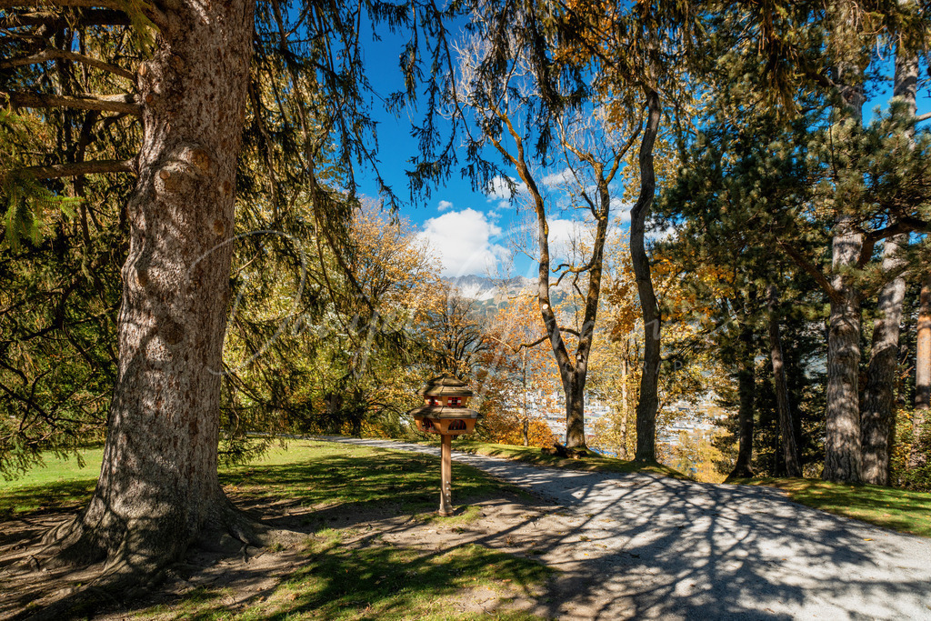 DSC00597 | Professioneller Fotograf - Bildbestellung online - Wandbilder vom Profi für ihr Zuhause, Büro, Praxis, Firma - große Auswahl an Materialien und Formaten, über 1400 regionale Motive