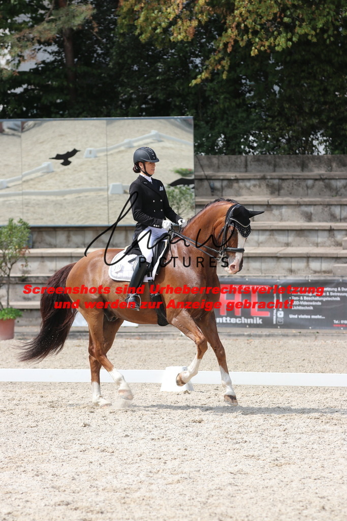 IMG_7130 | lmwpictures - Realisiert mit Pictrs.com