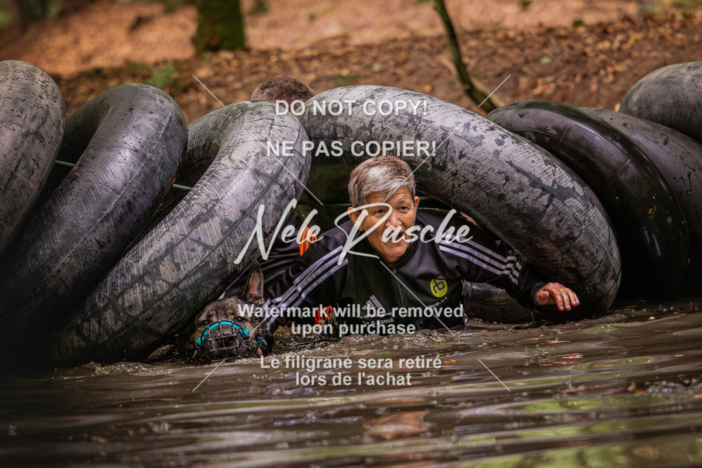 nelerasche_SaWingst1030-1130_12 | nelerasche