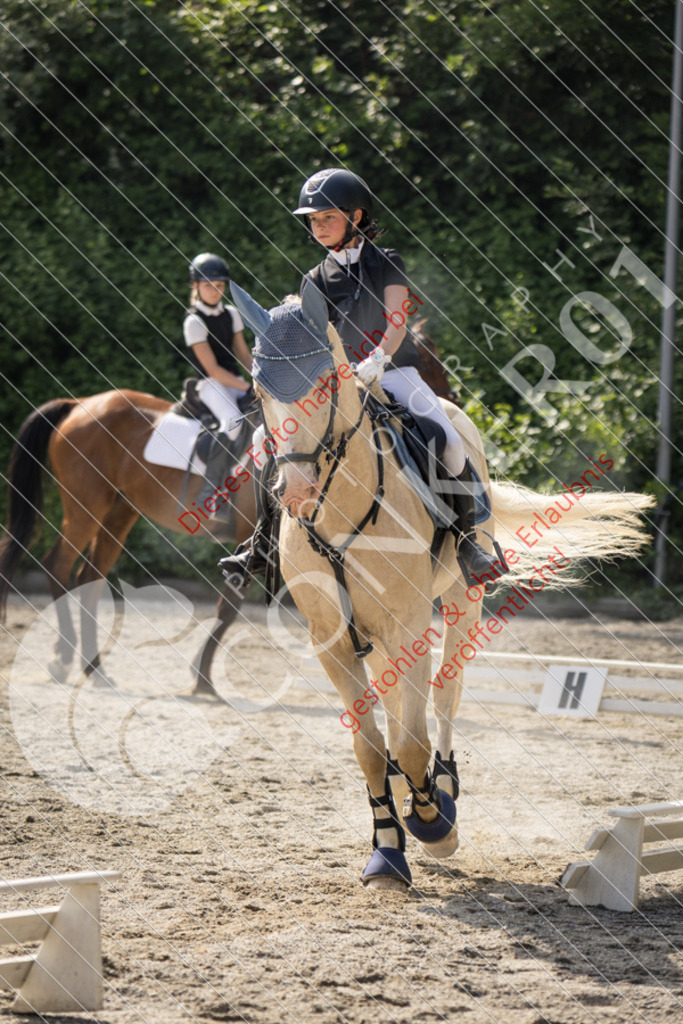 IMG_5807 | Sport-, Event- und Tierfotos in Profiqualität. Einfach auswählen, bestellen und herunterladen. Dein Moment – perfekt festgehalten.