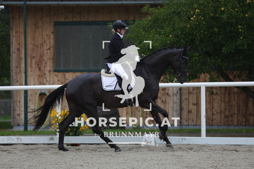 0P6A0458 | Willkommen bei Brunnmayr - Design & Fotografie – Ihrem Spezialisten für Reitturniere und Pferdeveranstaltungen in Oberösterreich, Salzburg und Bayern! Seit über 17 Jahren sind wir leidenschaftlich dabei.