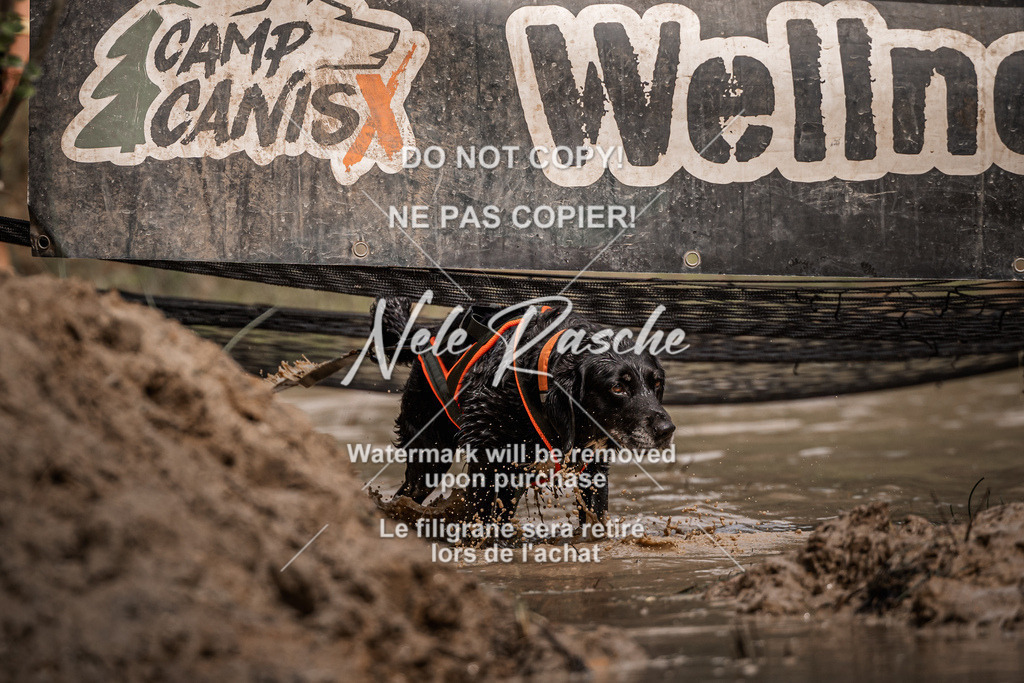 nelerasche_Hoope2026_Sa1100-1130_448 | nelerasche