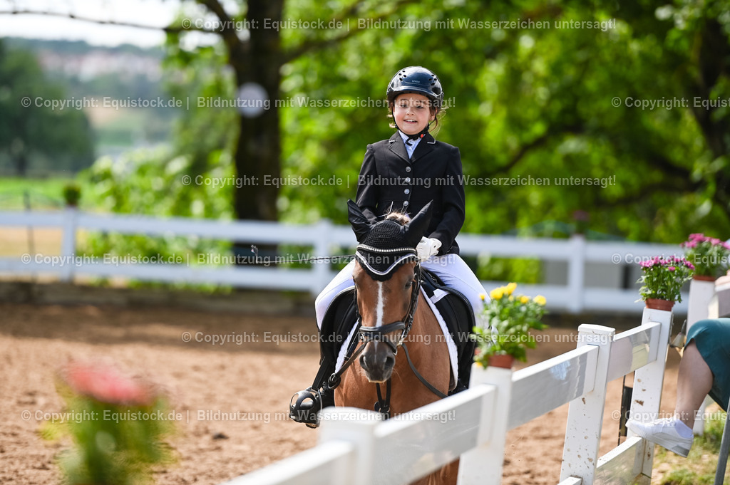 20230716_10-3_Reiter-WB Schritt - Trab - Galopp_0040 | equistock