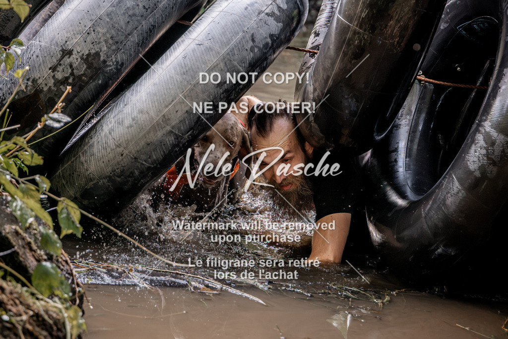 nelerasche_Hunsrück2026_Sa1400-1500_282 | nelerasche