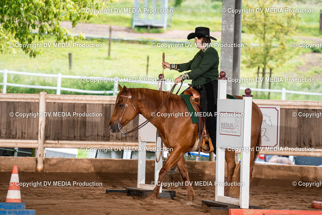 Erbach Tag 1-115 | dv-media-shop - Realisiert mit Pictrs.com