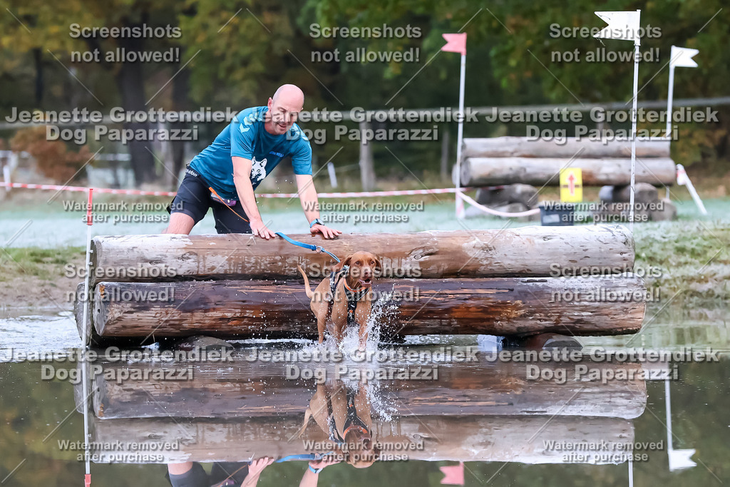 Dog Paparazzi - Strongdog 10-25-6101 | Dog Paparazzi Jeanette Grottendiek Fotografie & Videografie - Realisiert mit Pictrs.com