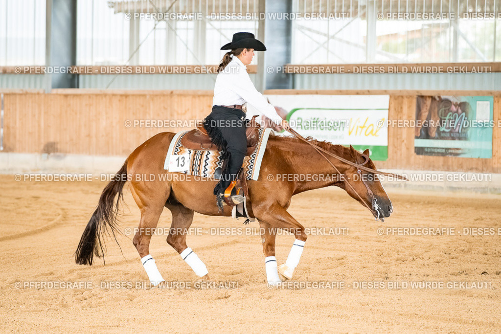 DSC02377 | Pferdegrafie