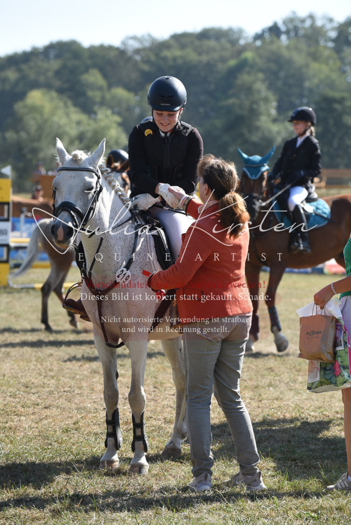 DSC_6169 | Pferde- und Turnierfotografie in Westsachsen. Pferdeportraits, Auftragszeichnungen und intuitive Kunst.